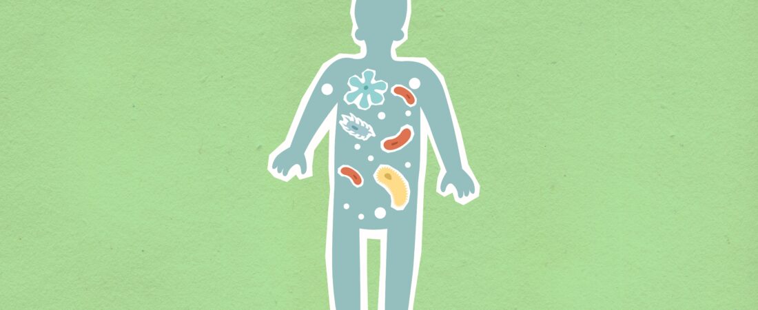 Darmgezondheid en eczeem: probiotica, prebiotica en enzymen