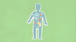 From above of cutout cardboard illustration of person with different bacteria spreading in body on green background