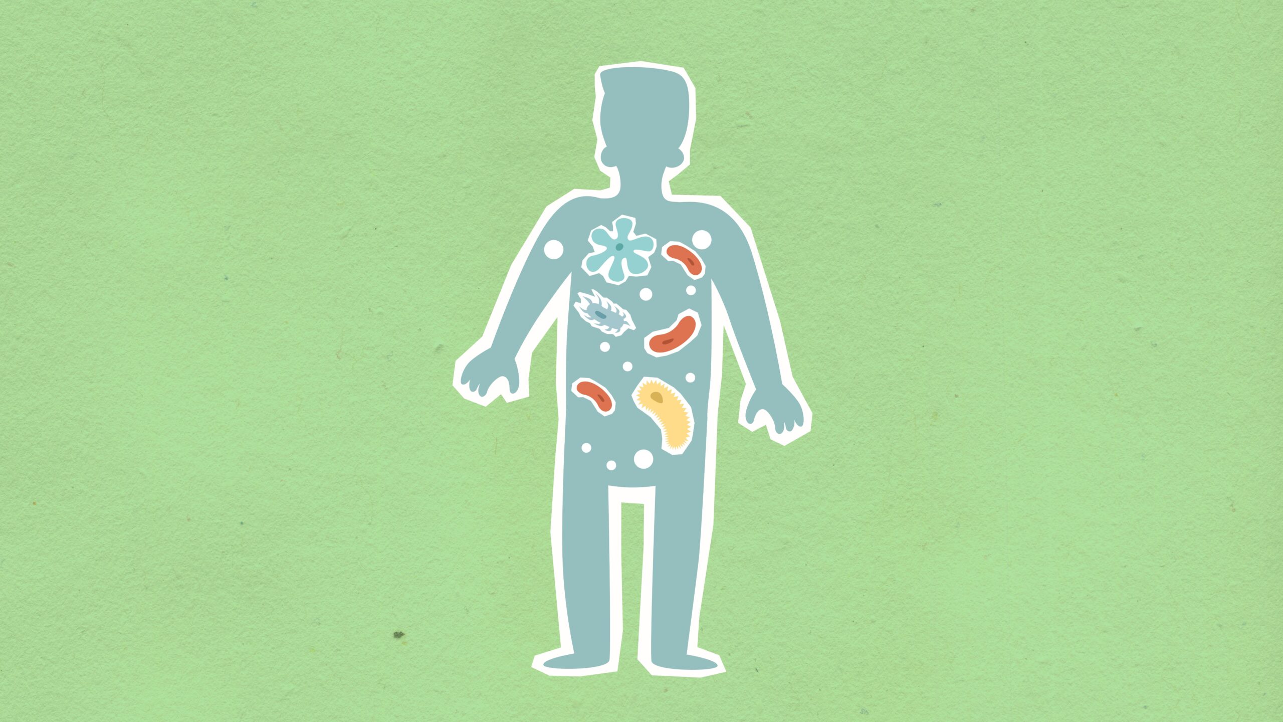 Darmgezondheid en eczeem: probiotica, prebiotica en enzymen